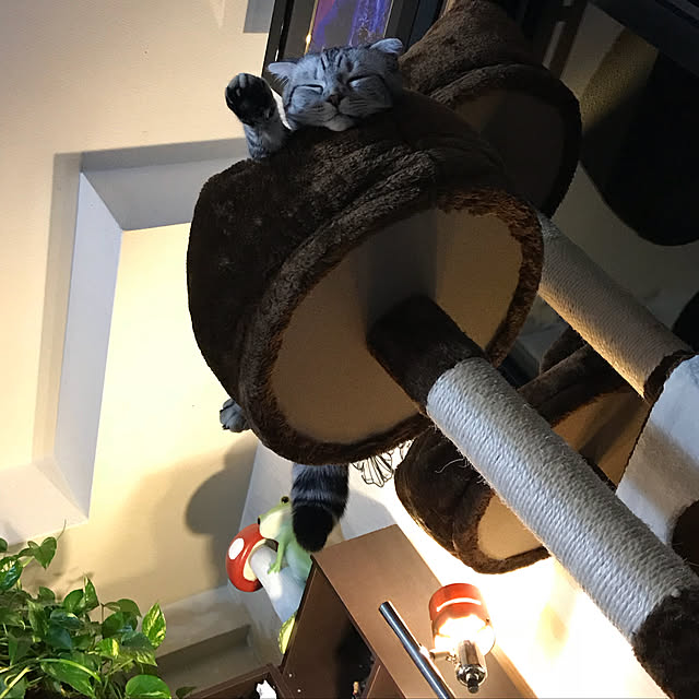arimanaさんの実例写真