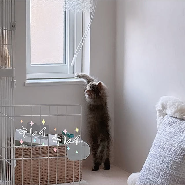 miyu39さんの部屋