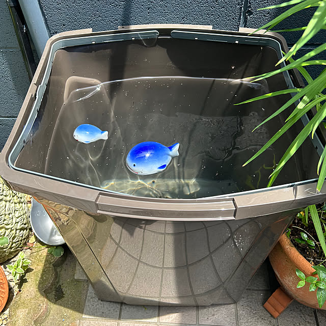 makaさんの部屋