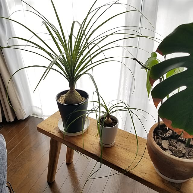 midoriさんの部屋