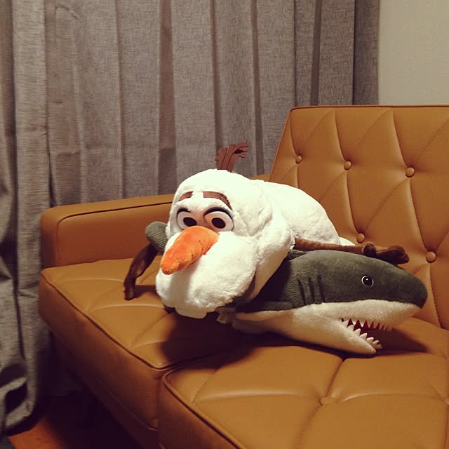 cob48さんの実例写真
