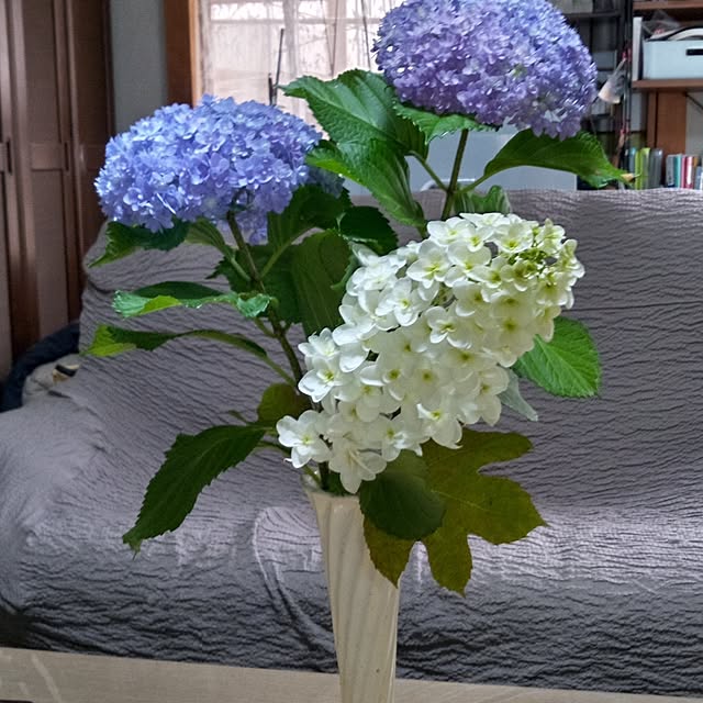 Yoshietanka3492さんの実例写真