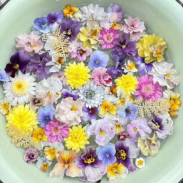 mayumiさんの部屋