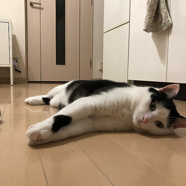 k.Iさんの実例写真