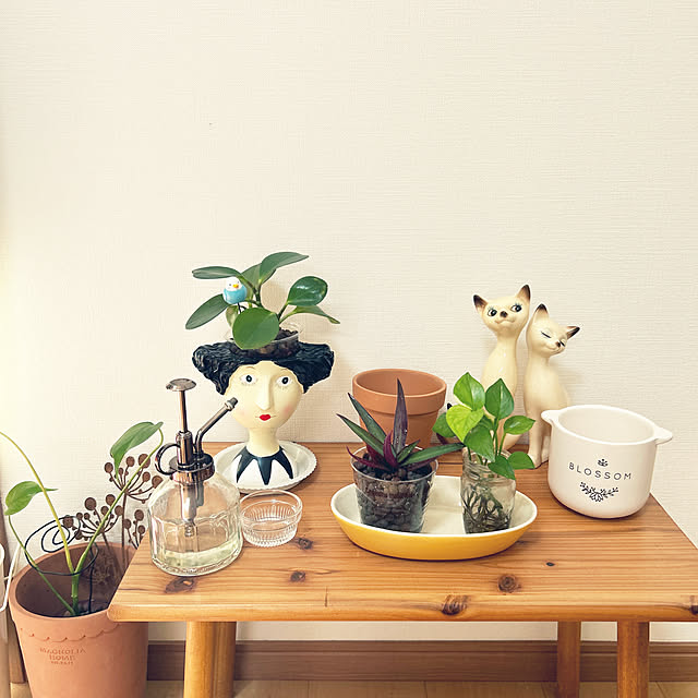 Ryuka-pさんの実例写真