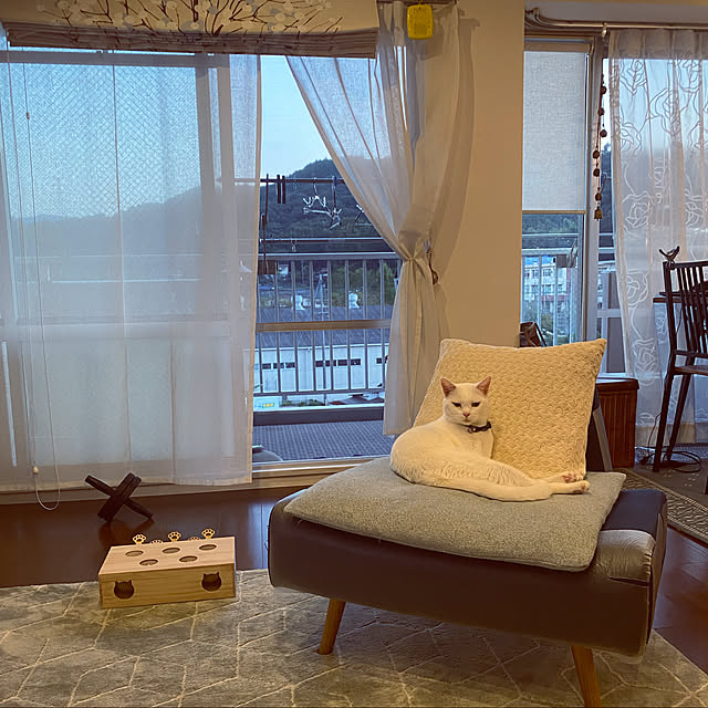 hanaさんの実例写真