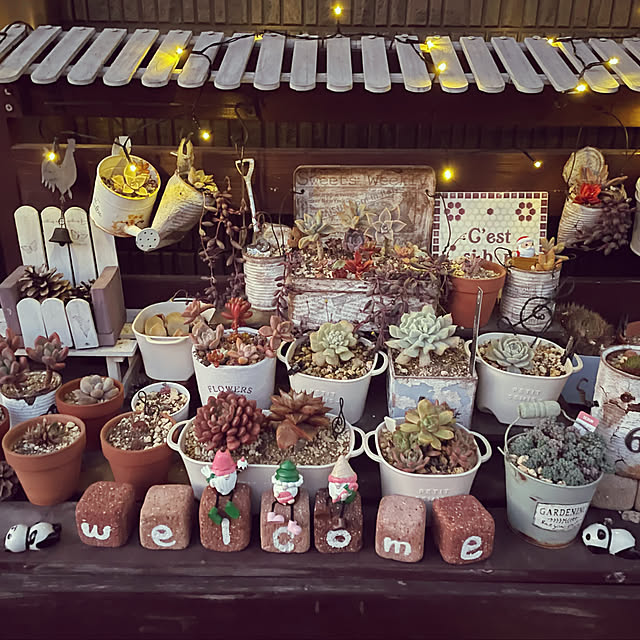 c.cさんの実例写真