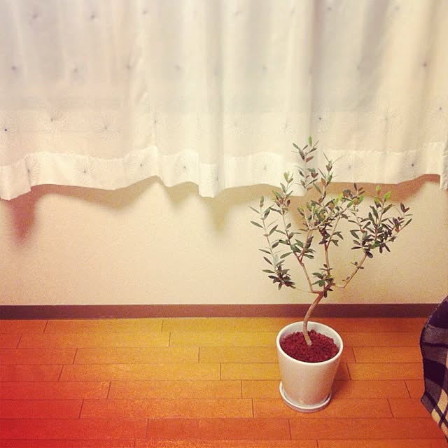 hiraganasanさんの実例写真