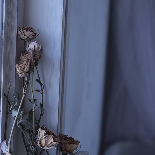 玄関/入り口/花のある暮らし/DIY/IG→rei_blancheur/ブログしています＊*。...などのインテリア実例 - 2016-01-05 09:42:10