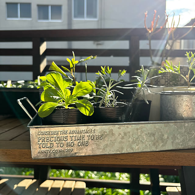 kyoko1124koさんの部屋