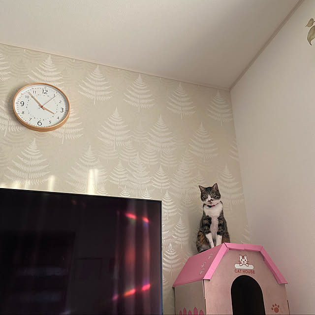 ippu0303Karinさんの実例写真