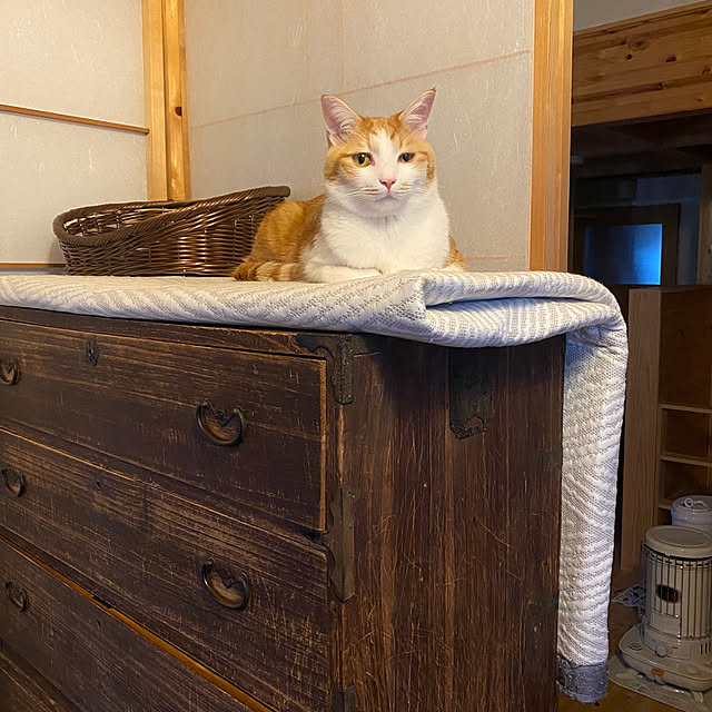 senbei.sakuramochiさんの実例写真