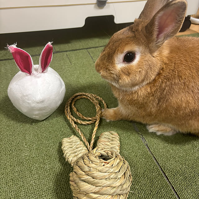 usakoさんの実例写真