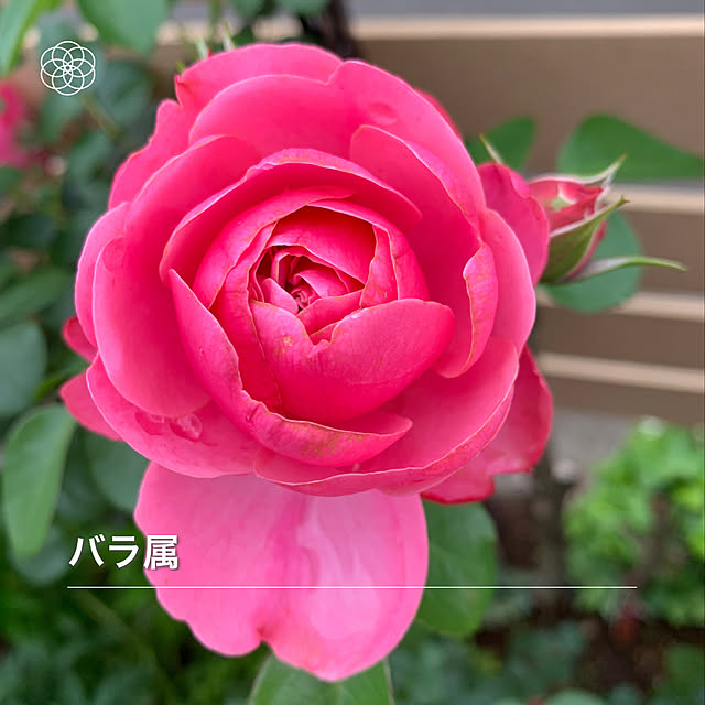 KYONさんの実例写真