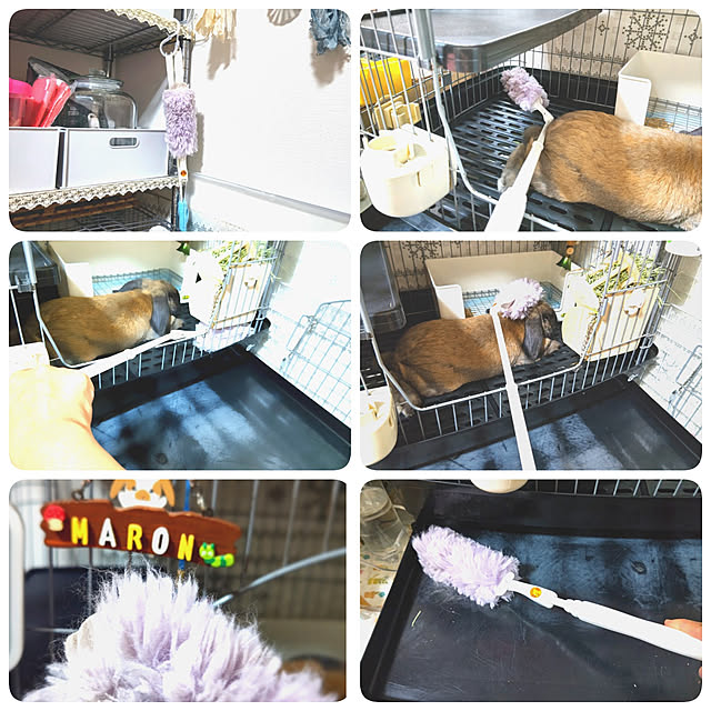 mariaさんの実例写真