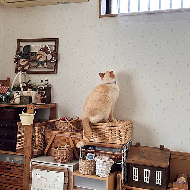 mohhaさんの実例写真