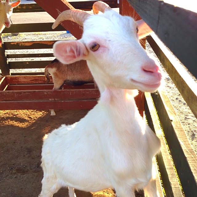 reko639さんの実例写真