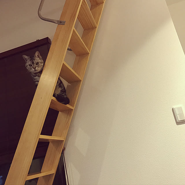 pekoさんの実例写真