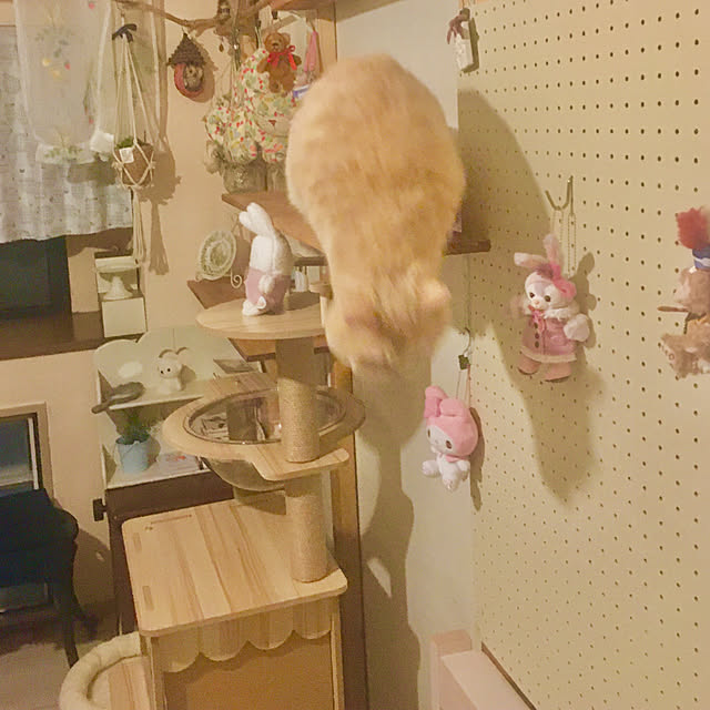 naokoさんの実例写真
