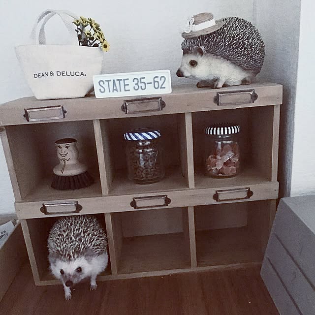saokoさんの実例写真
