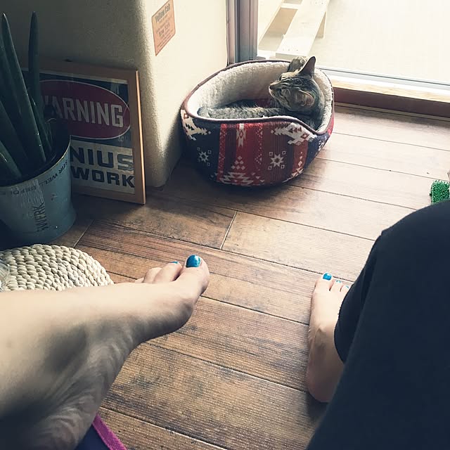 sayasさんの実例写真
