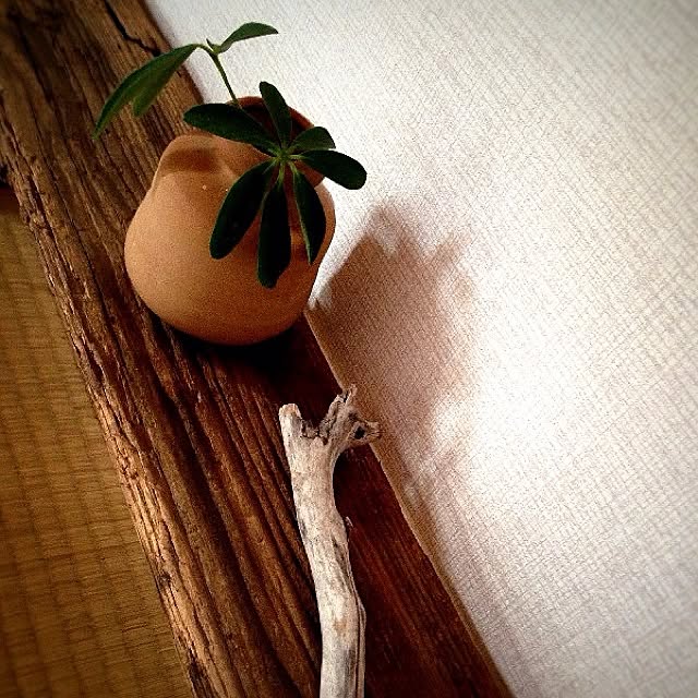 rookuさんの実例写真