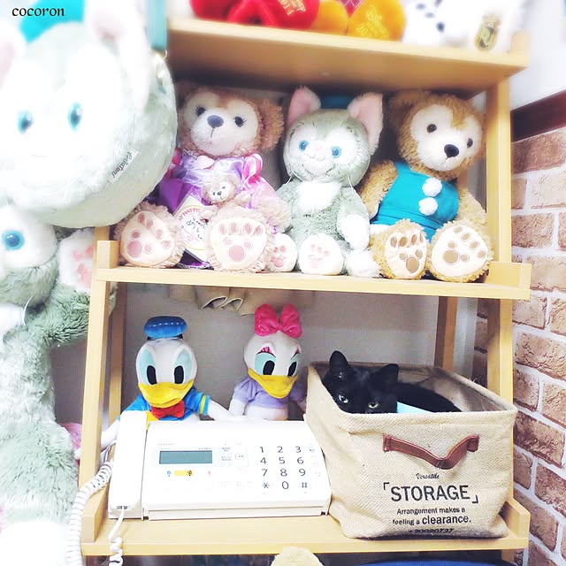 cocoronさんの実例写真