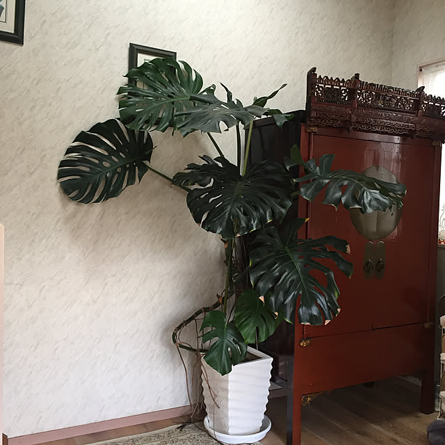 gontaさんの実例写真