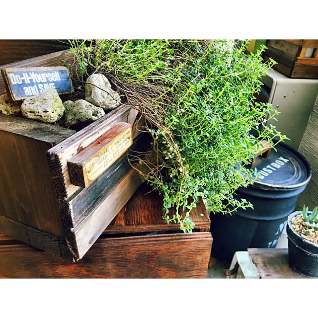 Rans_andy.さんの実例写真