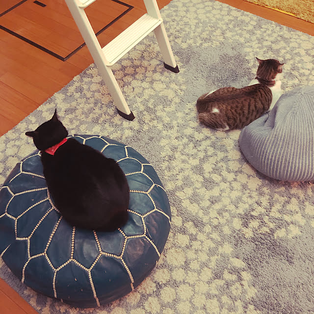 jijiさんの実例写真