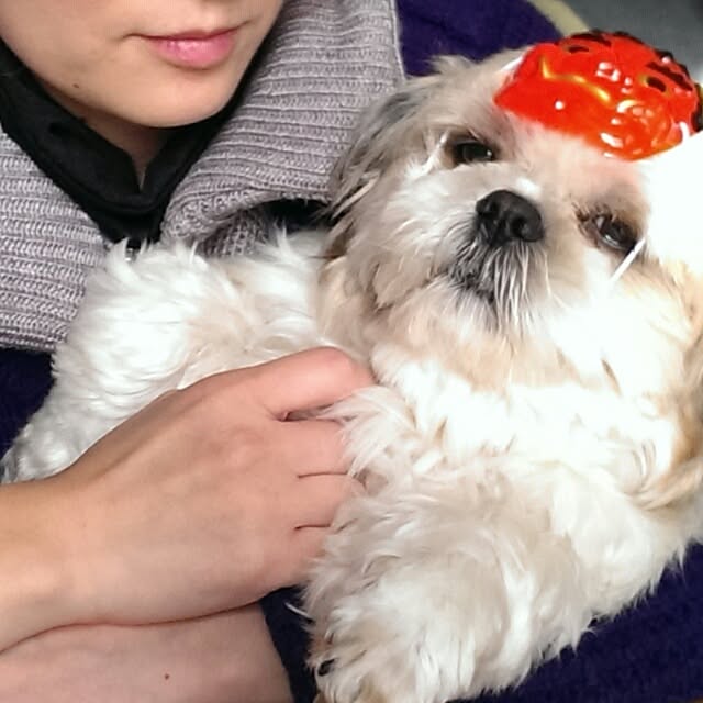 tibiさんの実例写真