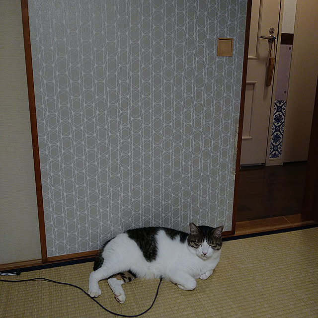 okyosan101さんの実例写真