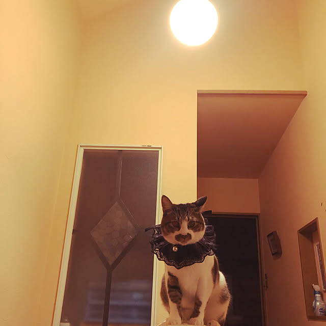 jijiさんの実例写真