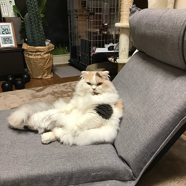 keibooさんの実例写真