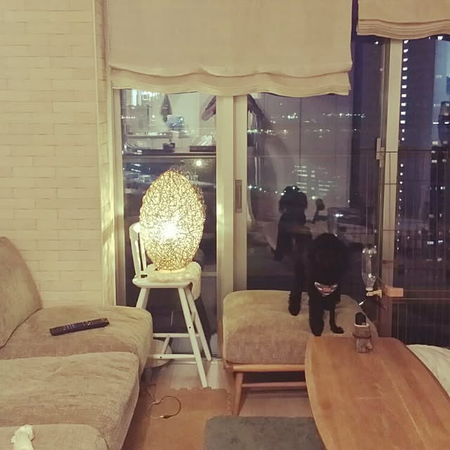 ariさんの実例写真