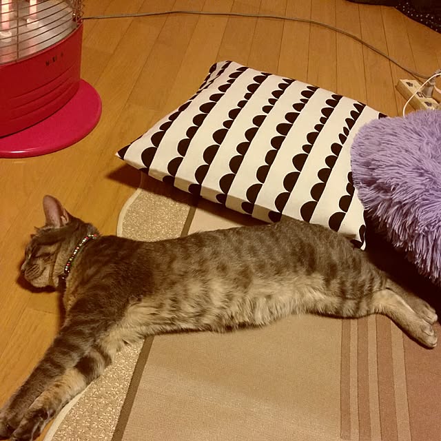 oyumiさんの実例写真