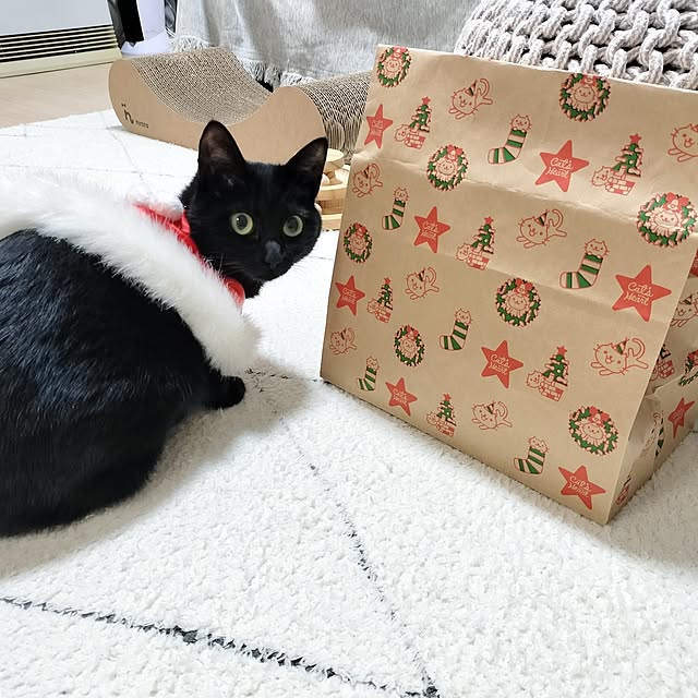 sakuraさんの部屋