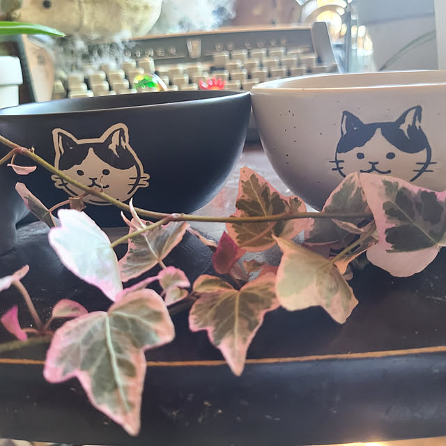 monnさんの実例写真