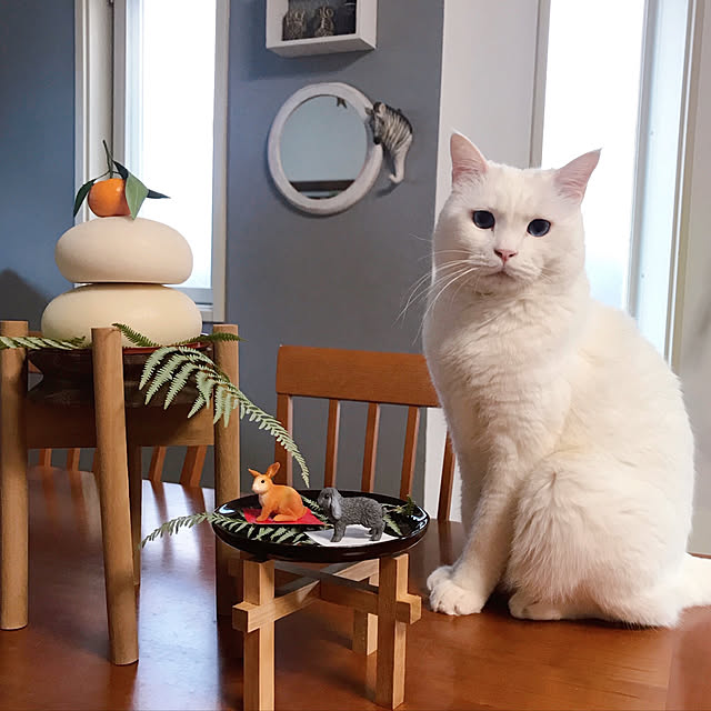 nyanko-beamさんの実例写真