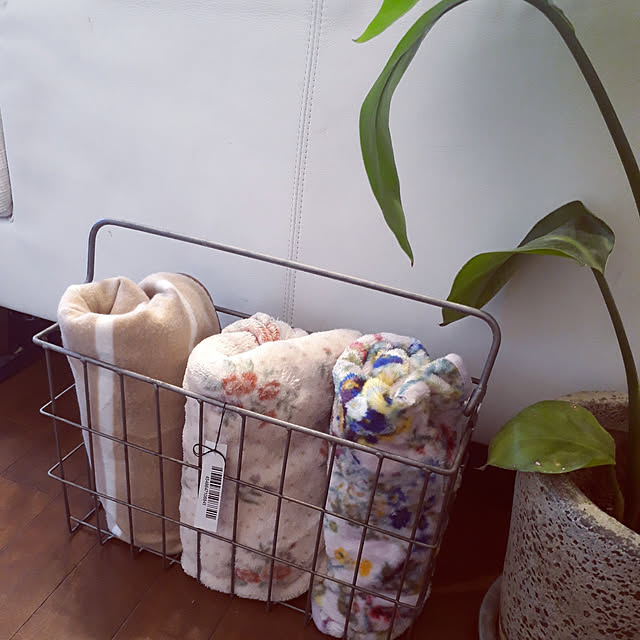 min_nimさんの実例写真