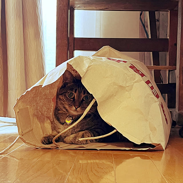 Mさんの実例写真