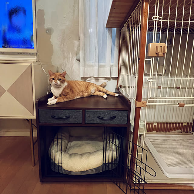 MEさんの実例写真