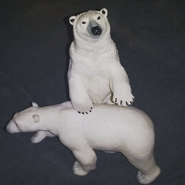 yuutasoさんの実例写真