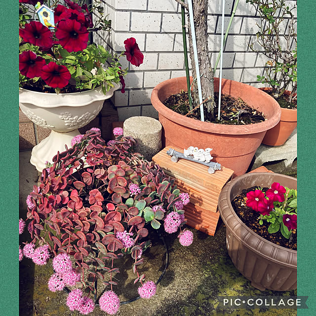 CoCo0617さんの実例写真