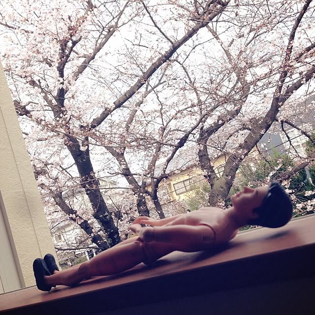 moooさんの実例写真