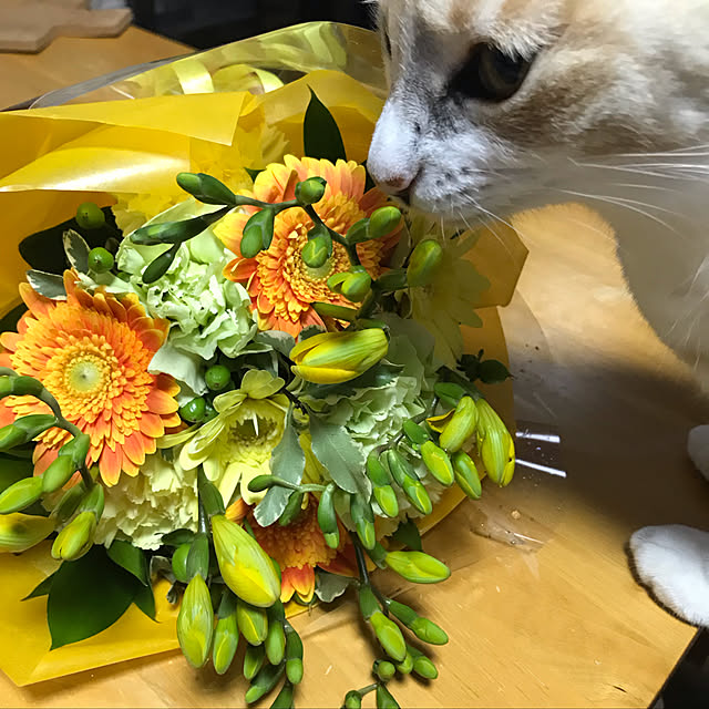 marieさんの実例写真