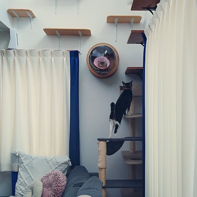 mochicoさんの部屋