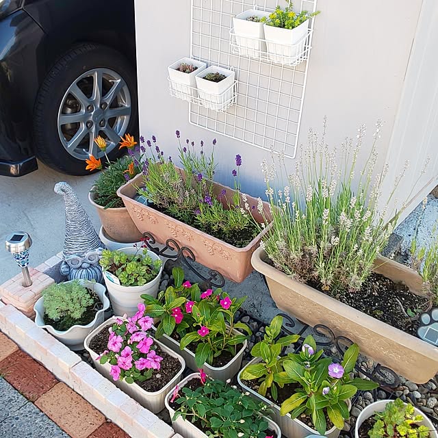 yumiyumiさんの部屋