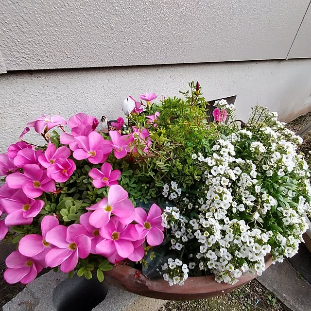 katさんの部屋