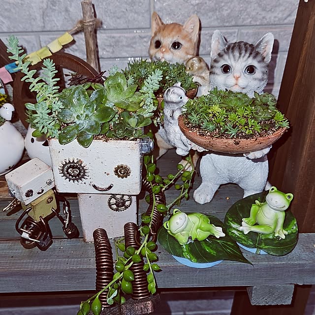 mocomocoさんの部屋